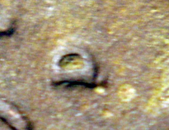 1946-D-Lincoln-Wheat-Cent-1mm-001